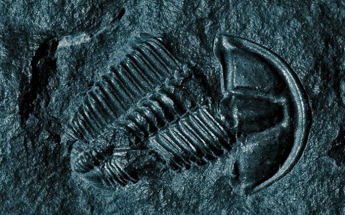 The Greatest Mass Extinction Ever May Have Been Kicked Off by Microbes