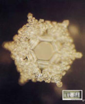 A note with the words 'love' and 'thank you' was put on the container of the water that formed this crystal. (Courtesy of Dr. Masuru Emoto)