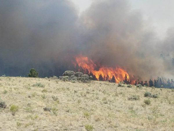 Flames rise past a ridge during efforts to contain the Spring Creek Fire in Costilla County, Colorado on June 27, 2018. (Costilla County Sheriff's Office/Handout via REUTERS)