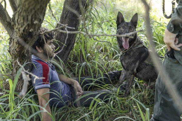 Border Patrol agent Tait Seelhorst and his K-9 Zak find an illegal alien who was trying to evade capture near McAllen, Texas, on April 18, 2019. (Charlotte Cuthbertson/The Epoch Times)