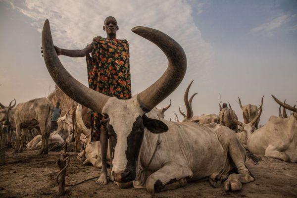 File photo showing a Sudanese girl from the Dinka tribe working as a cattle keeper, at a cattle camp in Mingkaman, Lakes State, South Sudan, on March 3, 2018. (Stefanie Glinski/AFP/Getty Images)
