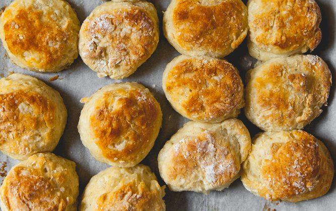 Biscuit Diaries: A Transplanted Southerner’s Quest for Her Ideal Biscuit
