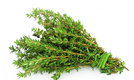 Image result for thyme