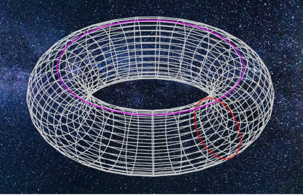 A torus (Public domain)